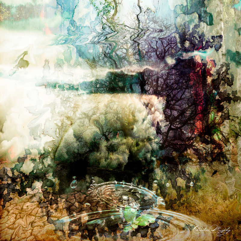 Elemental Collision by Charlene Murphy