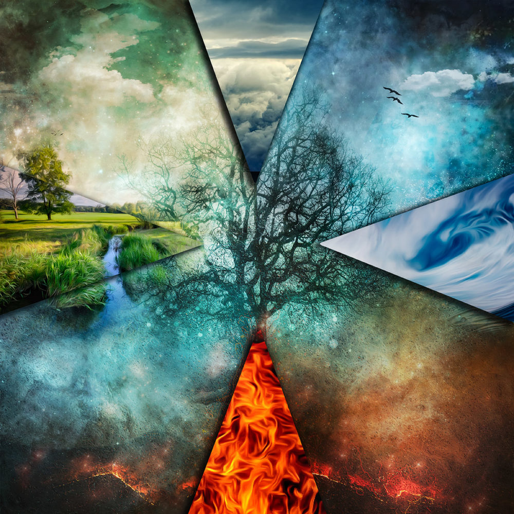 Elements of Nature by Ashby Presley