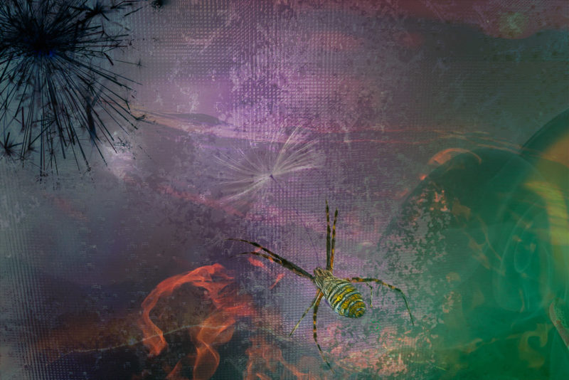 Escaping From fire by Daniel Martin