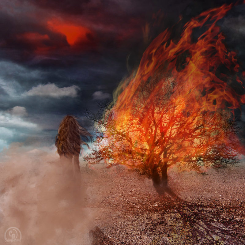 Firestorm by Sandi Roberts