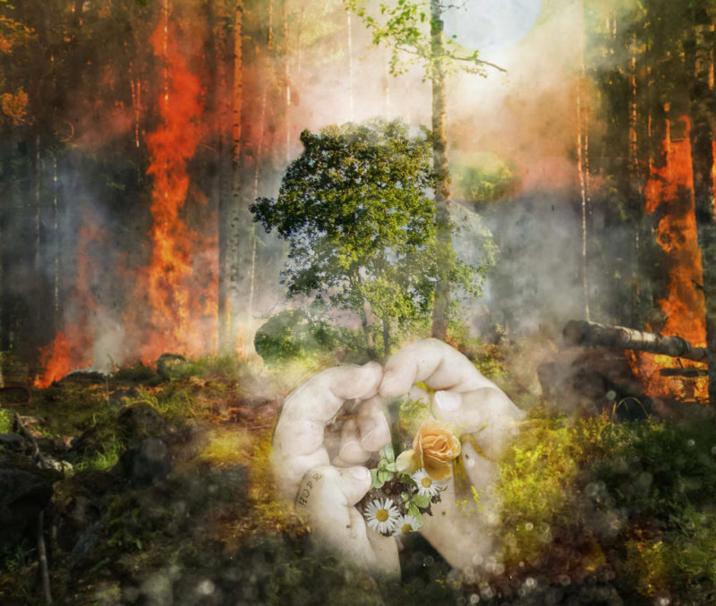 Hope by Beth Crastnopol