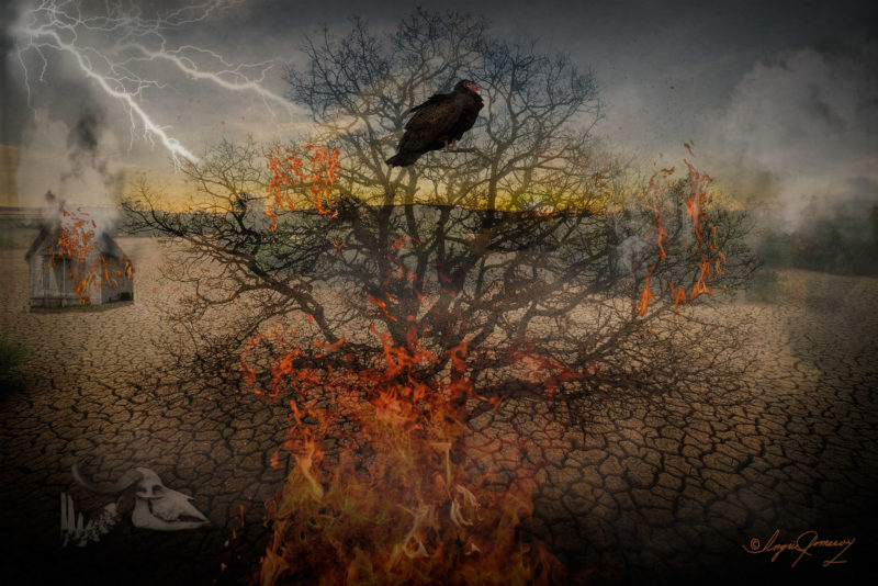 Into The Future by Ingrid Pomeroy