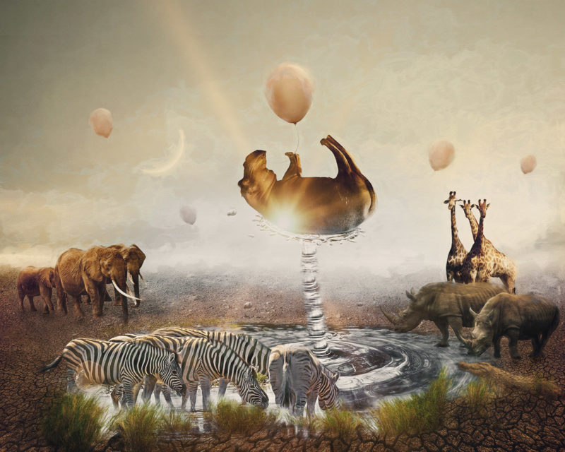 Life At The Oasis by Karen Waalwyk