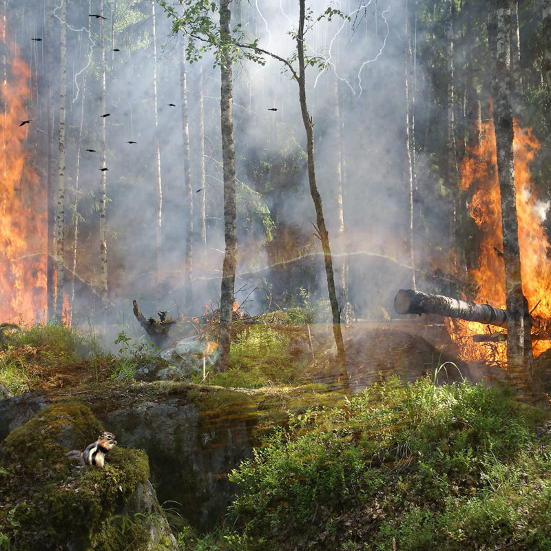 Praying For Rain by Debbie De Juan