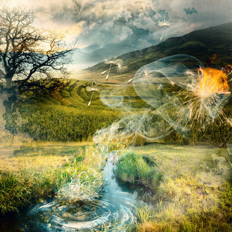 The Four Eements Together Again by Susanne Valla