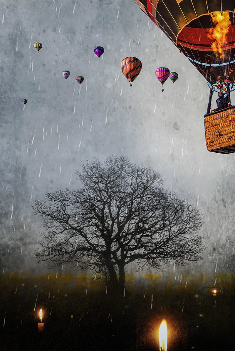 Time to Land by Gary Davis