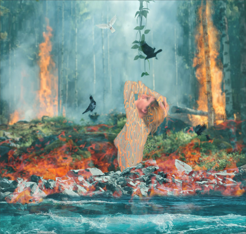 Trapped Between Fire Water Help is on the Way by Mary Miller