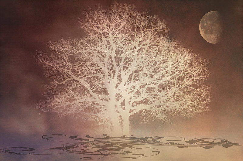 Under The Moon by Terry Robinson