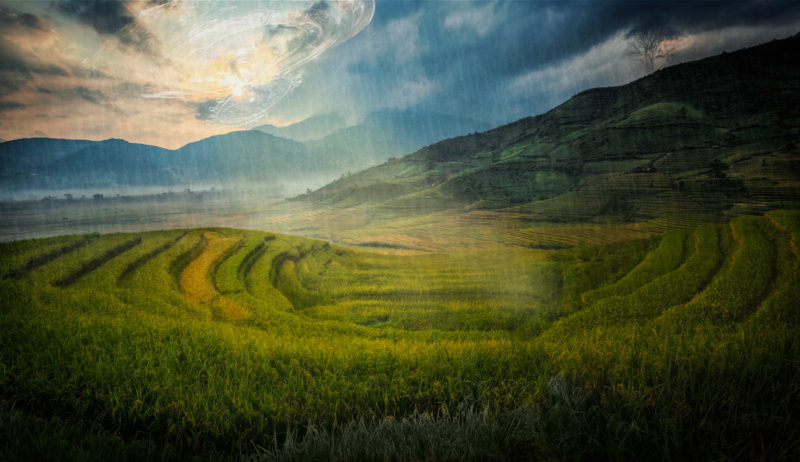 Water is Life by Godriana Goldfeld