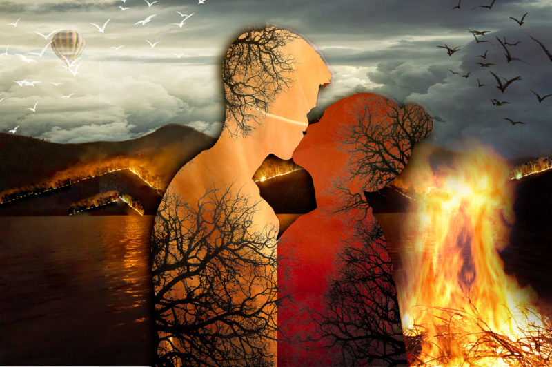 Who Is To Blamey by Steve Pulley