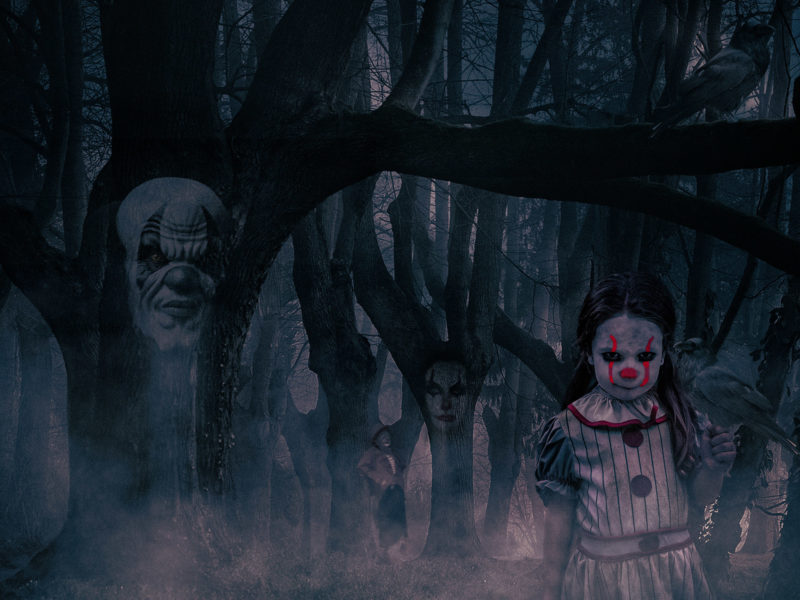 Clown Wood by Derek Morrissey