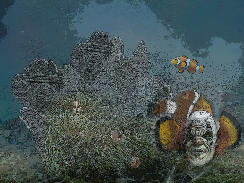 Clownfish by Karen Waalwyk