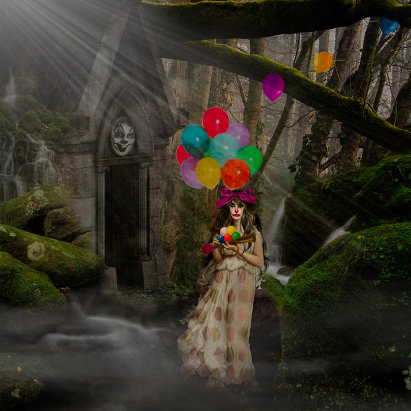 The Last Laugh by Becky Trist