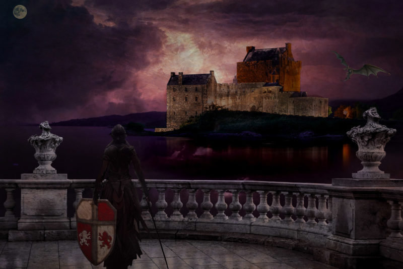 Battle For The Castle by Steve Grainger