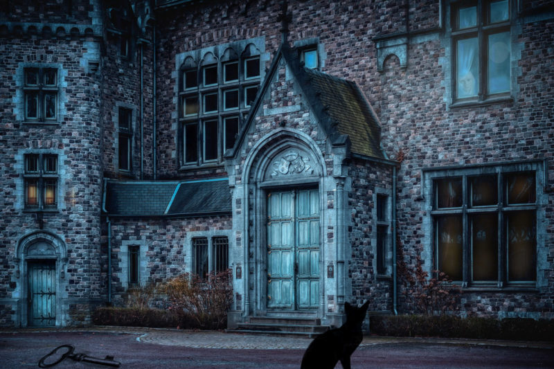 Castle Stronghold by Elizabeth Berry