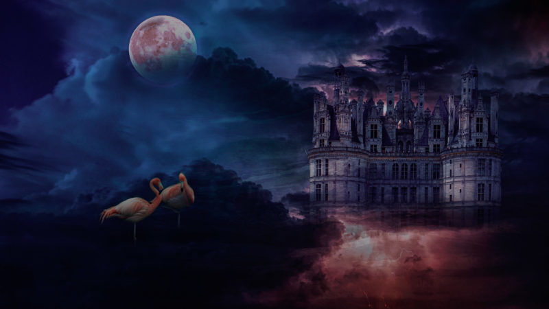 Flamingos Castle by Dalia Gonzalez