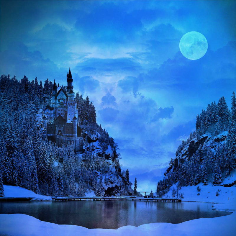 Moonlit Night by Sandy Stofa