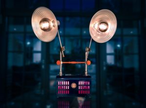 johnny-briggs-1_DC-t-yfQU-unsplash