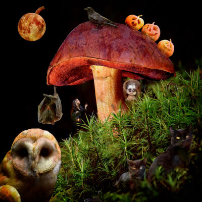 12AM Walk Halloween Night by Tom Sherrill