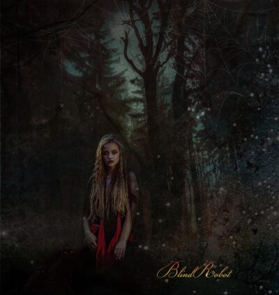 Midnight in the Woods by Ron Westphal