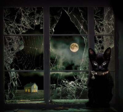 Scaredy Cat by Cathy Labudak