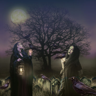 Tending the Crows by Jane Tovey