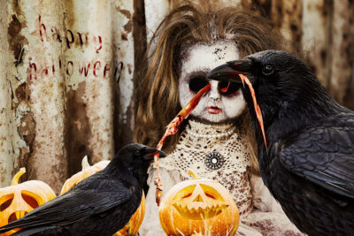 The Final Playtime by Gary Davis