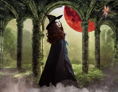 The Witch and the Dragonfly by Jennifer Podor