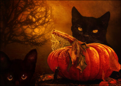 When Black Cats Prowl and Pumpkins Gleam May Luck Be Yours on Halloween by Denise Hunter Logan
