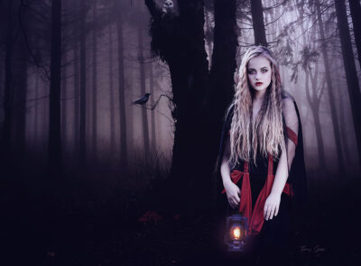 When the Sun Goes Down by Terry Spear