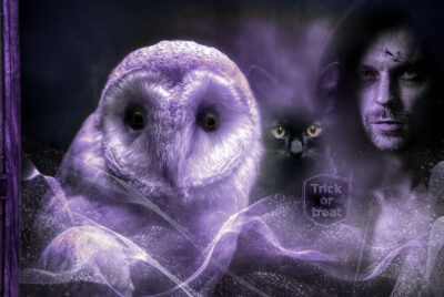 Witch's House Trick or Treat - OK to Enter by Liz Berry