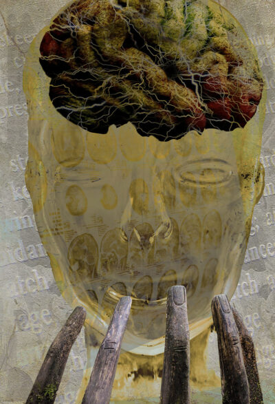 Our Brains Are Full of Memories by Gaye Taylor