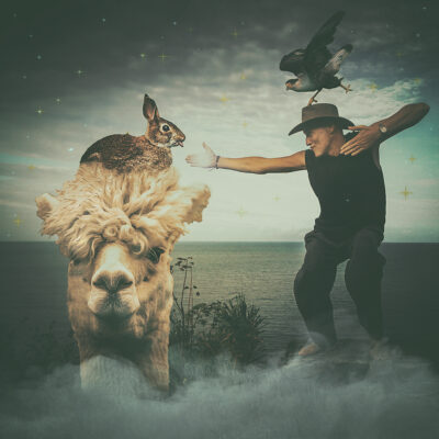 Alvin the Alpaca by Luana Laubscher