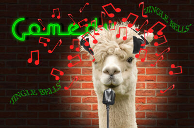 Jungle Bells by Gaye Taylor