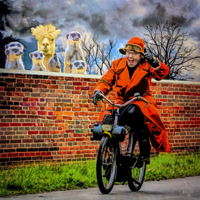 Meerkats and Friend Visit the Zoo by Dan Lavery