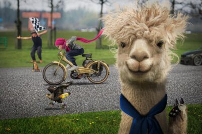 Ready, Set, Go!! by Roger Webb