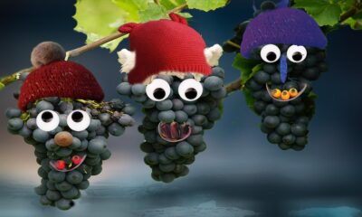 The Brothers Grapes by Frank Pizzani