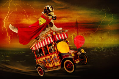 Bernie’s Rescue by Denise Hunter Logan