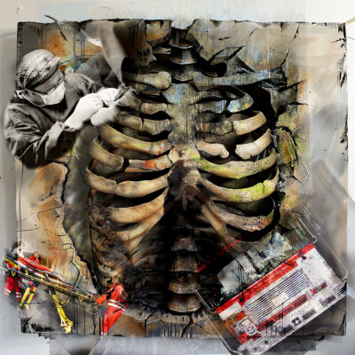 Rescue in the Woods by Alice Fritz