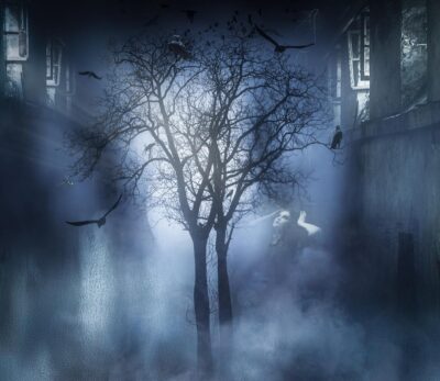 From Below by Denise Leitner