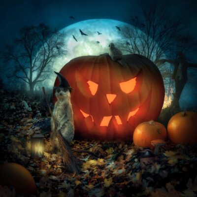 Happy Halloween by Sara Sandberg