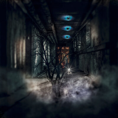 I See You. Come to Me. Trust Me. I Mean You No Harm. by Michael Heese