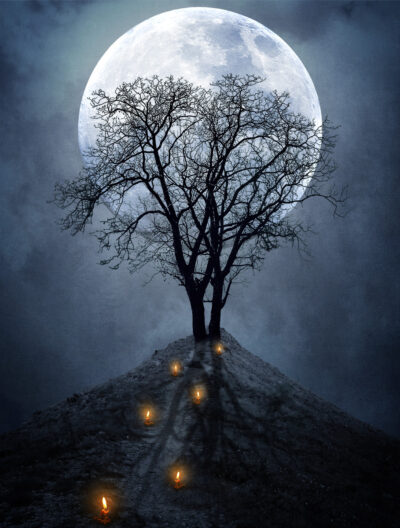 Impending Solitude by Jessica Fasso