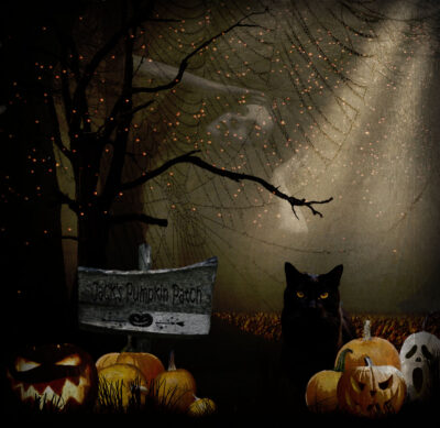 Jack’s Pumpkin Patch by Susan Gravens