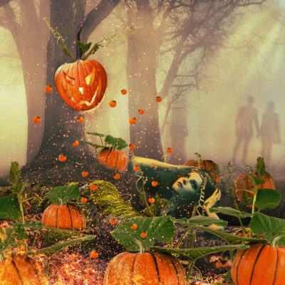 Rise of the Pumpkin King by Jane Tovey