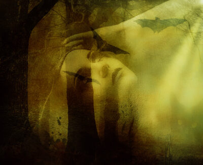 Tortured Soul by Denise Hunter Logan