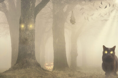 What Emerges Next? by Marcy Burgis