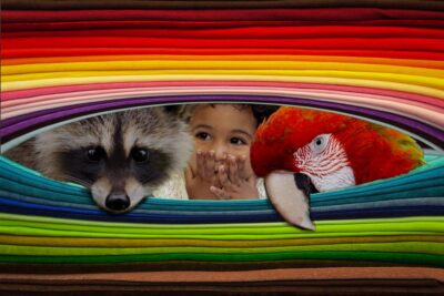 Peek-a-Boo by Prue Wright