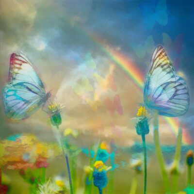 Rainbow Butterflies in a Rainbow World by Nancie Rowan