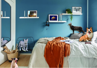 Cats and Boots by David Swift